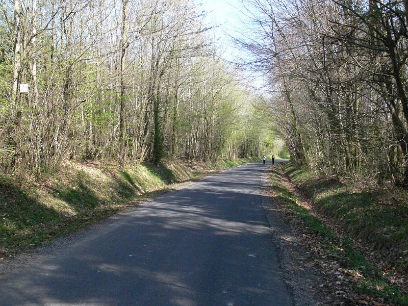 Mont Saint Michel 2010 - 082.jpg